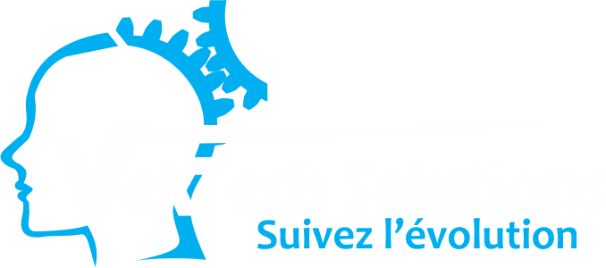 VekTech Solutions